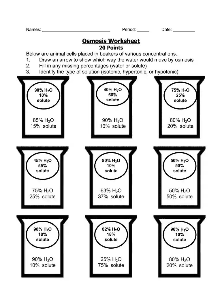 osmosis worksheet Preview on Page 1