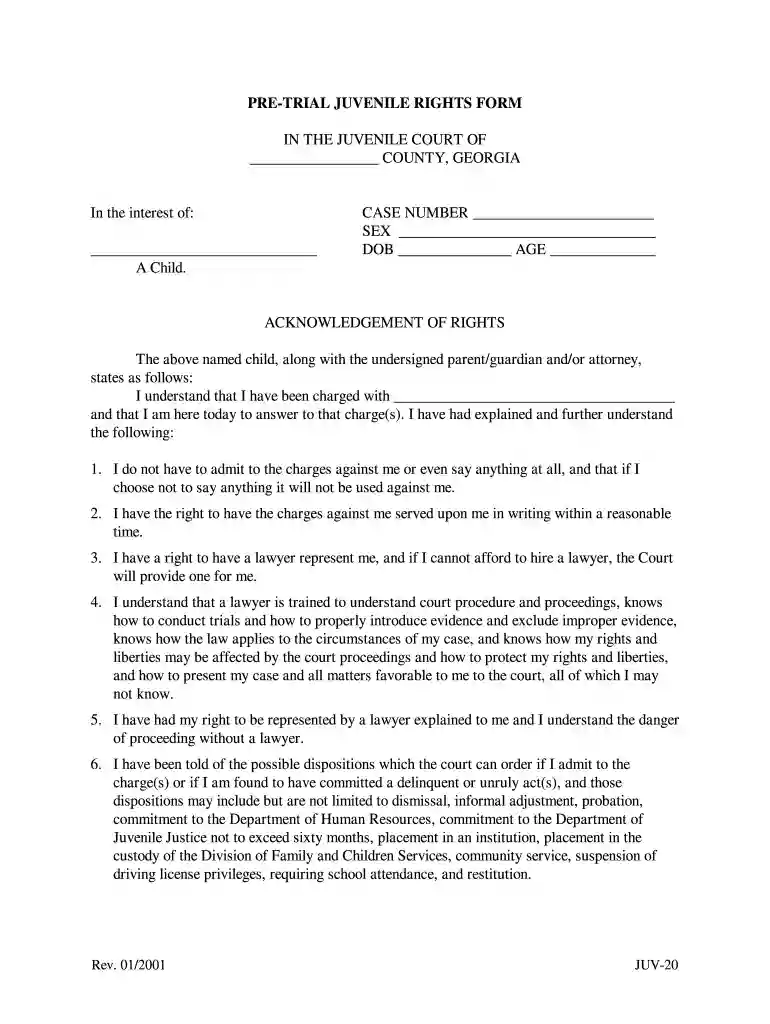 ga rights form Preview on Page 1