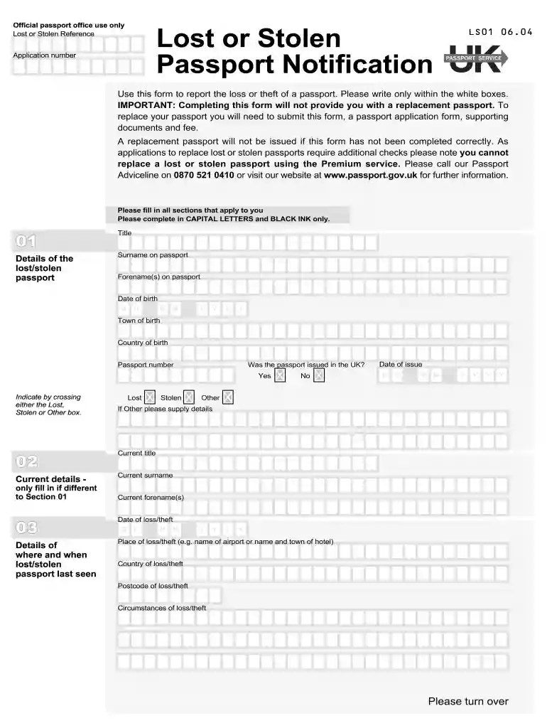 ls01 form Preview on Page 1