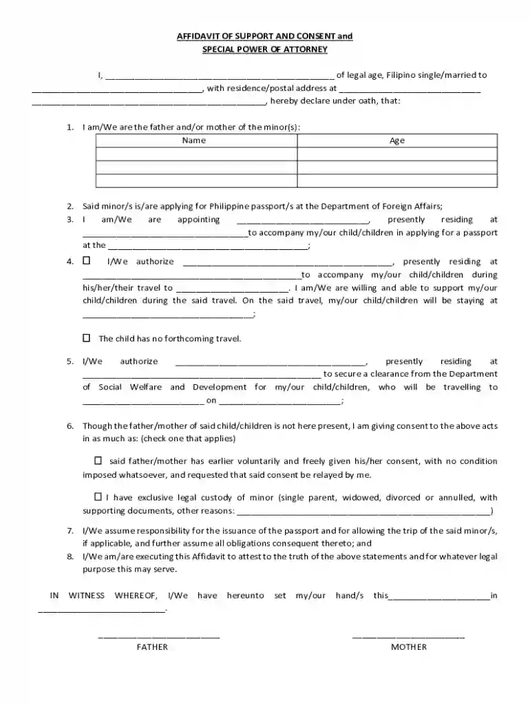 consent support affidavit travel Preview on Page 1