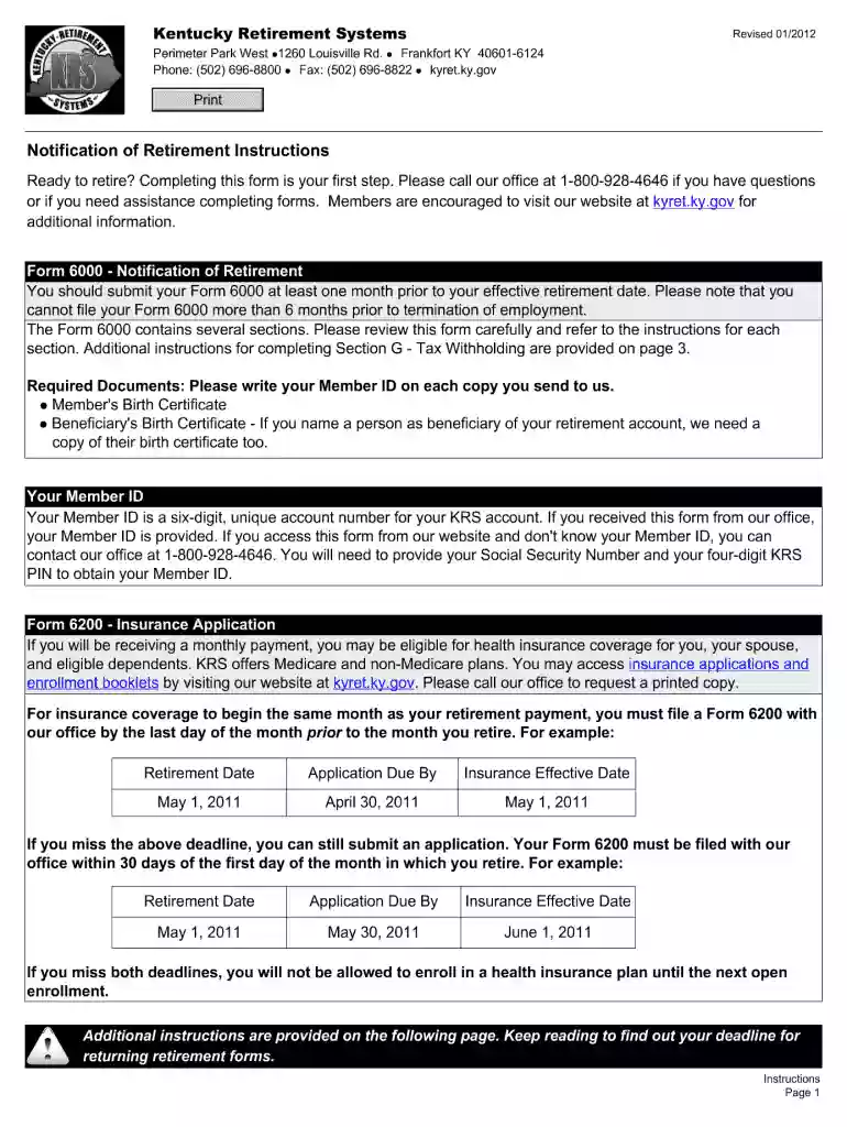 form 6256 Preview on Page 1
