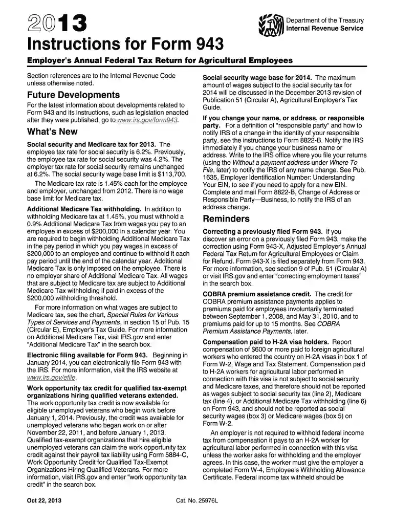 can i file 943 online 2011 form Preview on Page 1