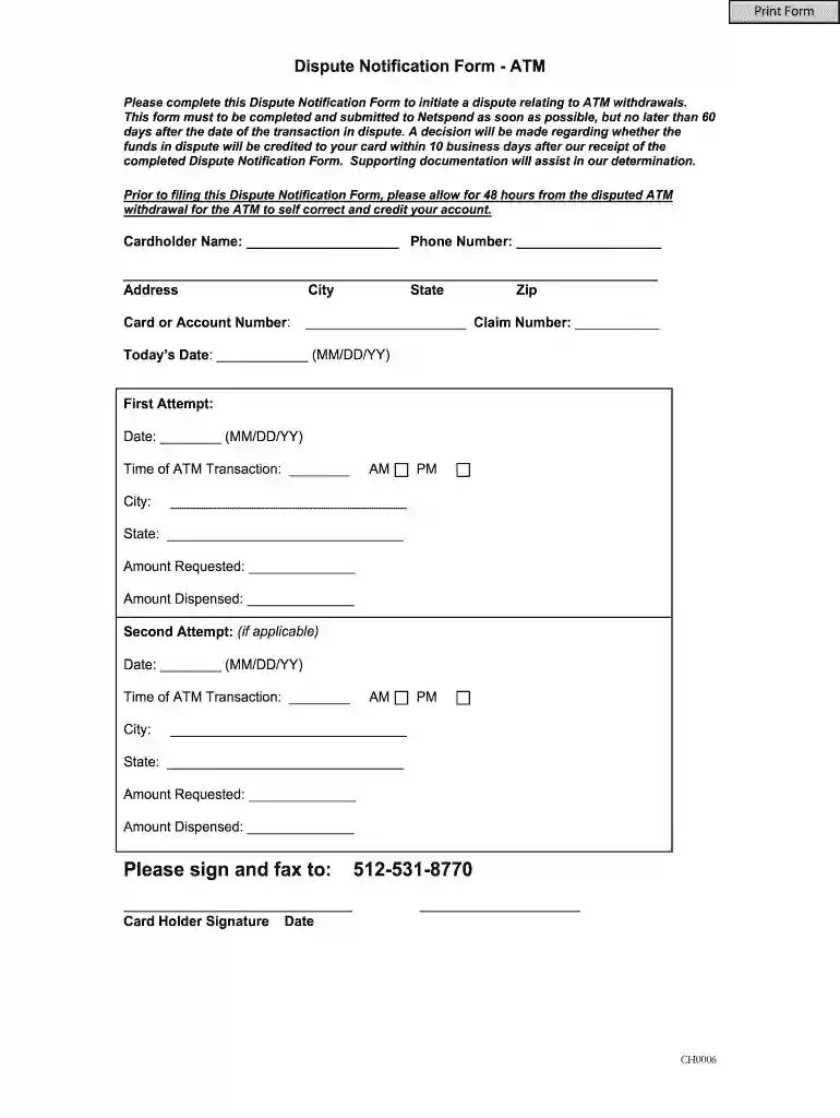 dispute documents at netspend com Preview on Page 1