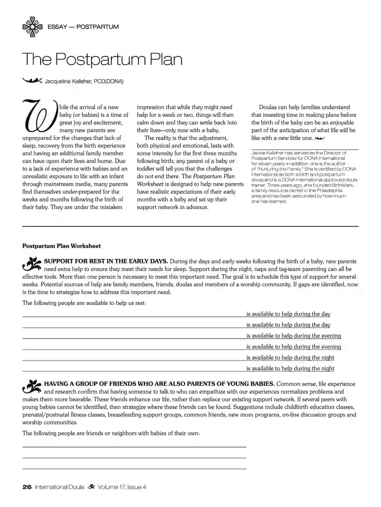 postpartum plan template Preview on Page 1
