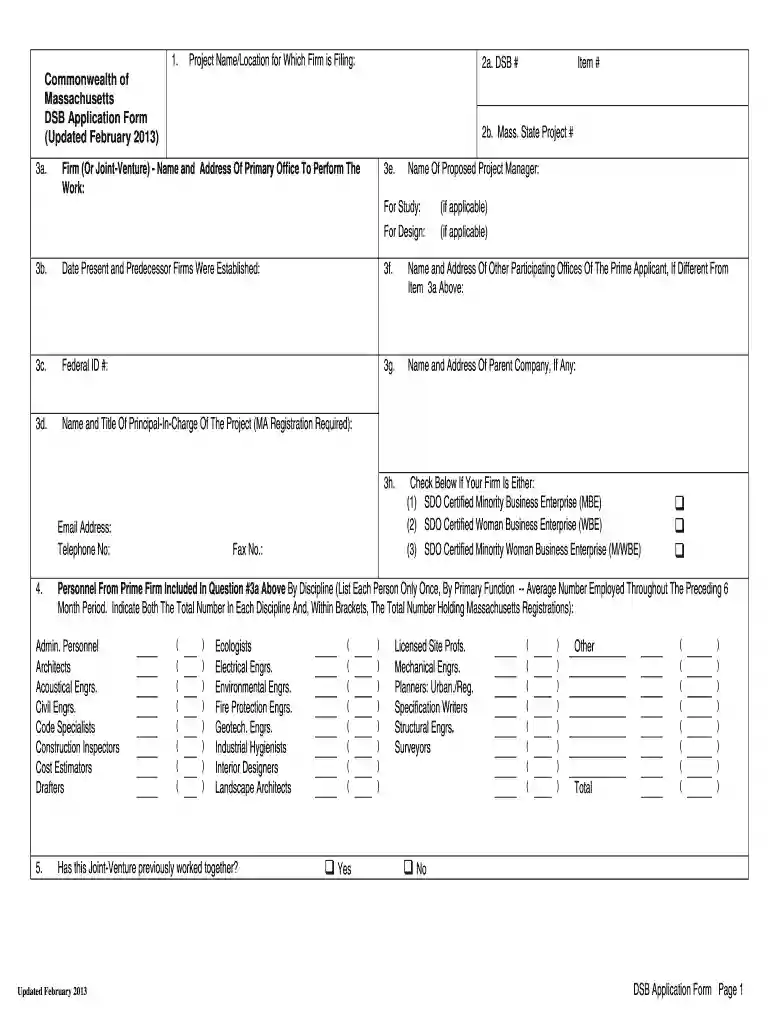 dsb application form Preview on Page 1