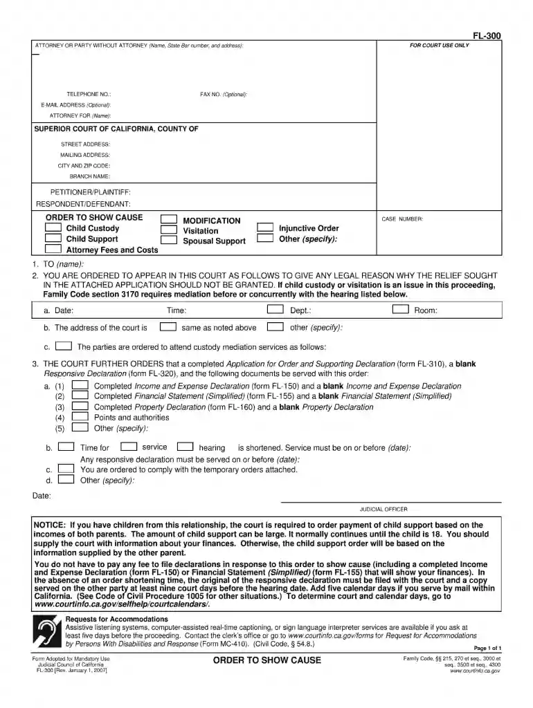 fl 300 form Preview on Page 1