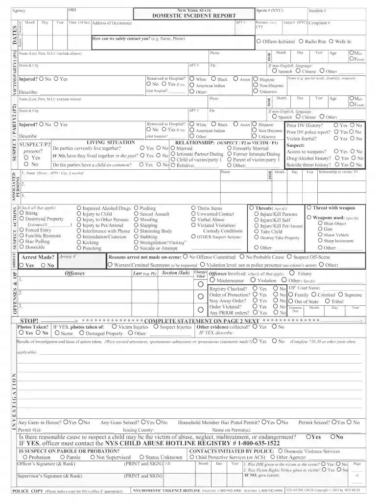 domestic violence police report example Preview on Page 1