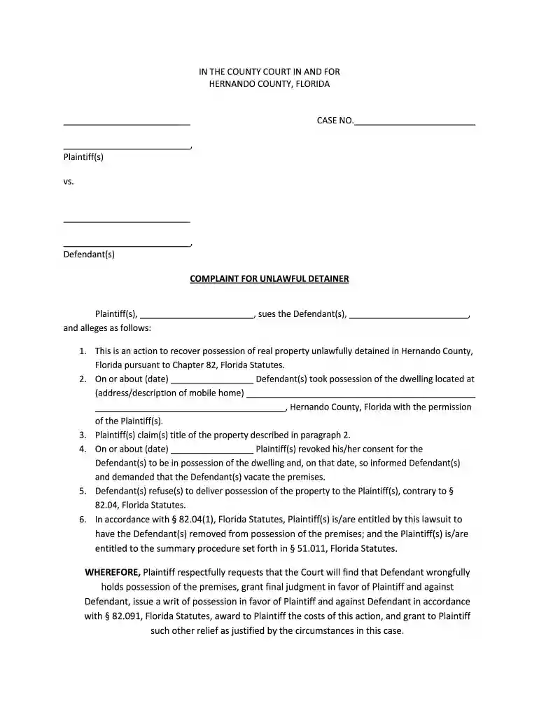 hernando county clerk of court Preview on Page 1