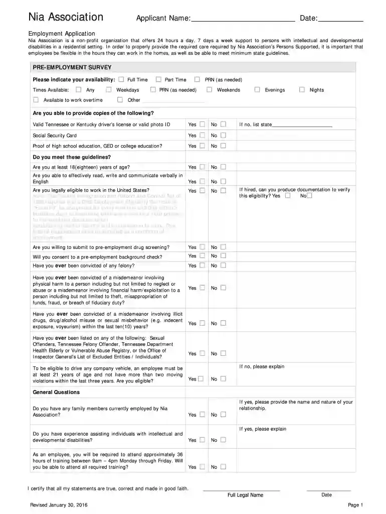 nia application form 2024 Preview on Page 1