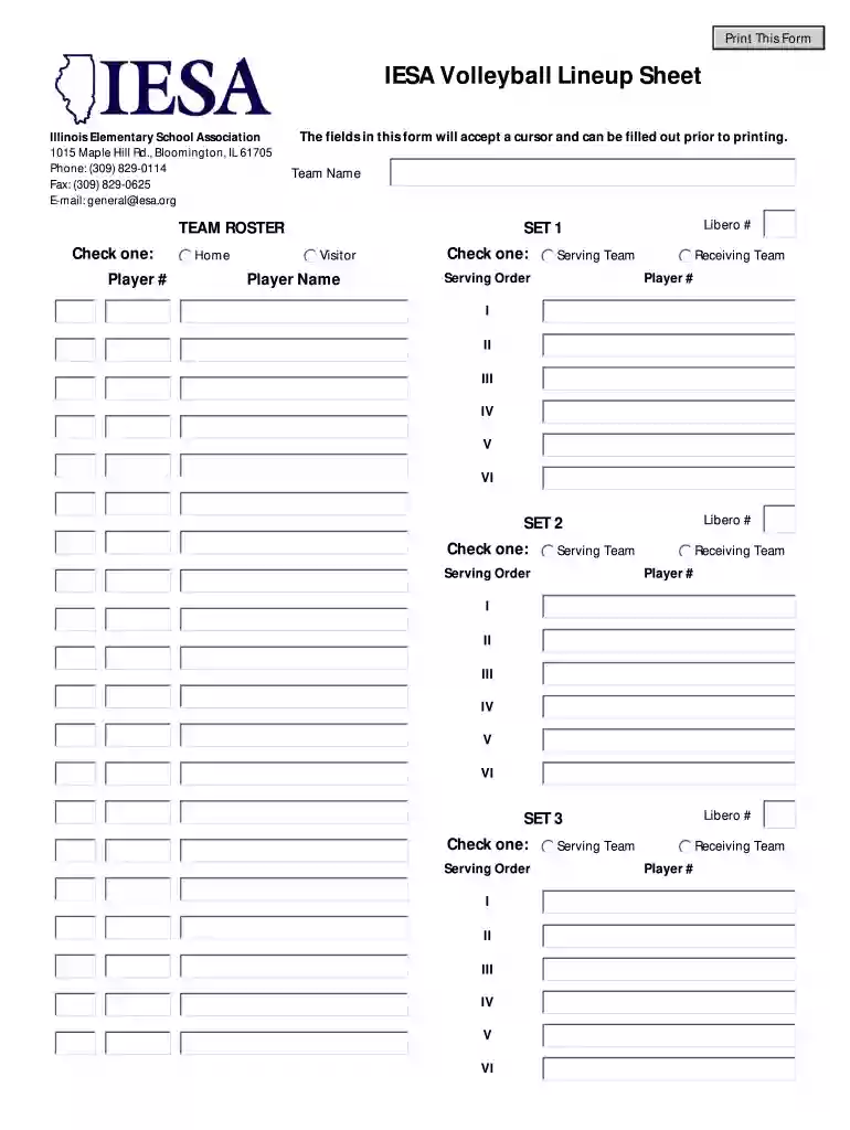 ihsa volleyball lineup sheet Preview on Page 1