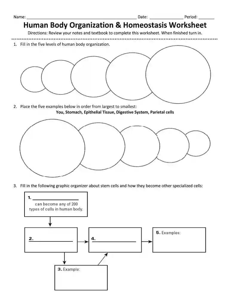 homeostasis worksheet Preview on Page 1