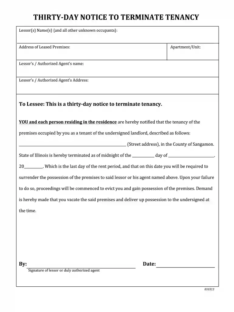 illinois eviction forms Preview on Page 1
