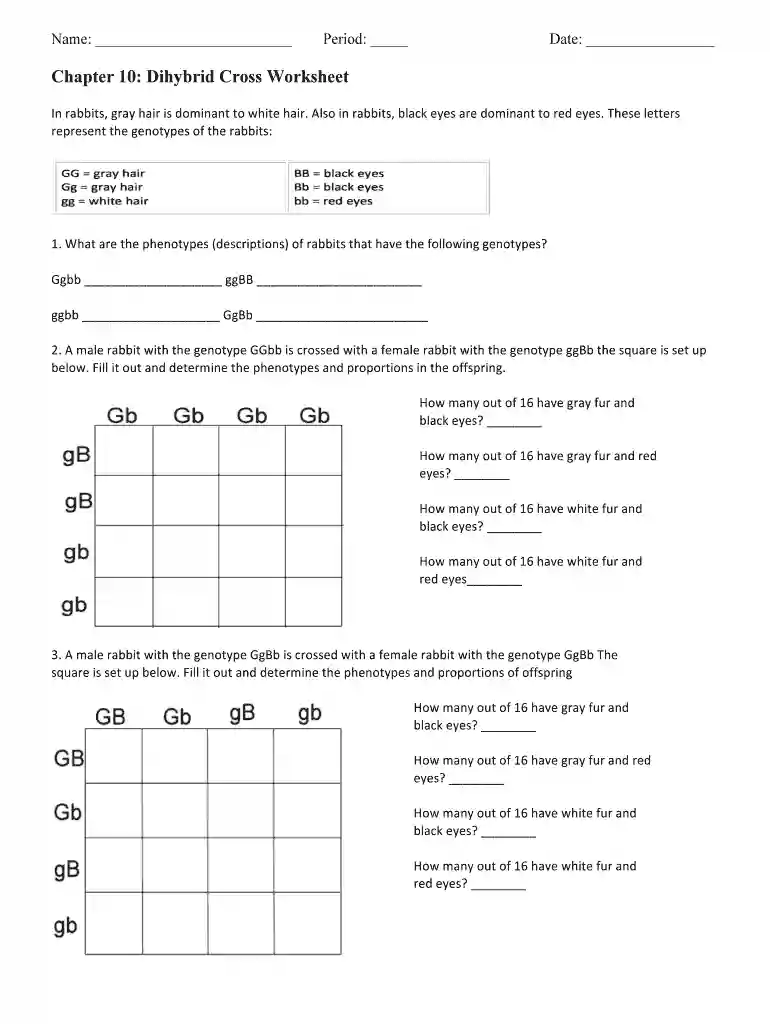 dihybrid cross worksheet Preview on Page 1