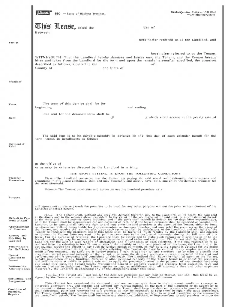 blumberg commercial lease Preview on Page 1