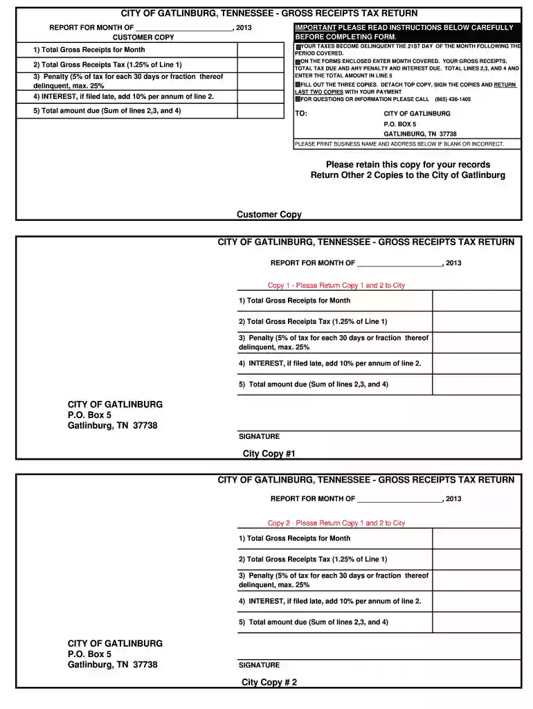 gross receipts Preview on Page 1