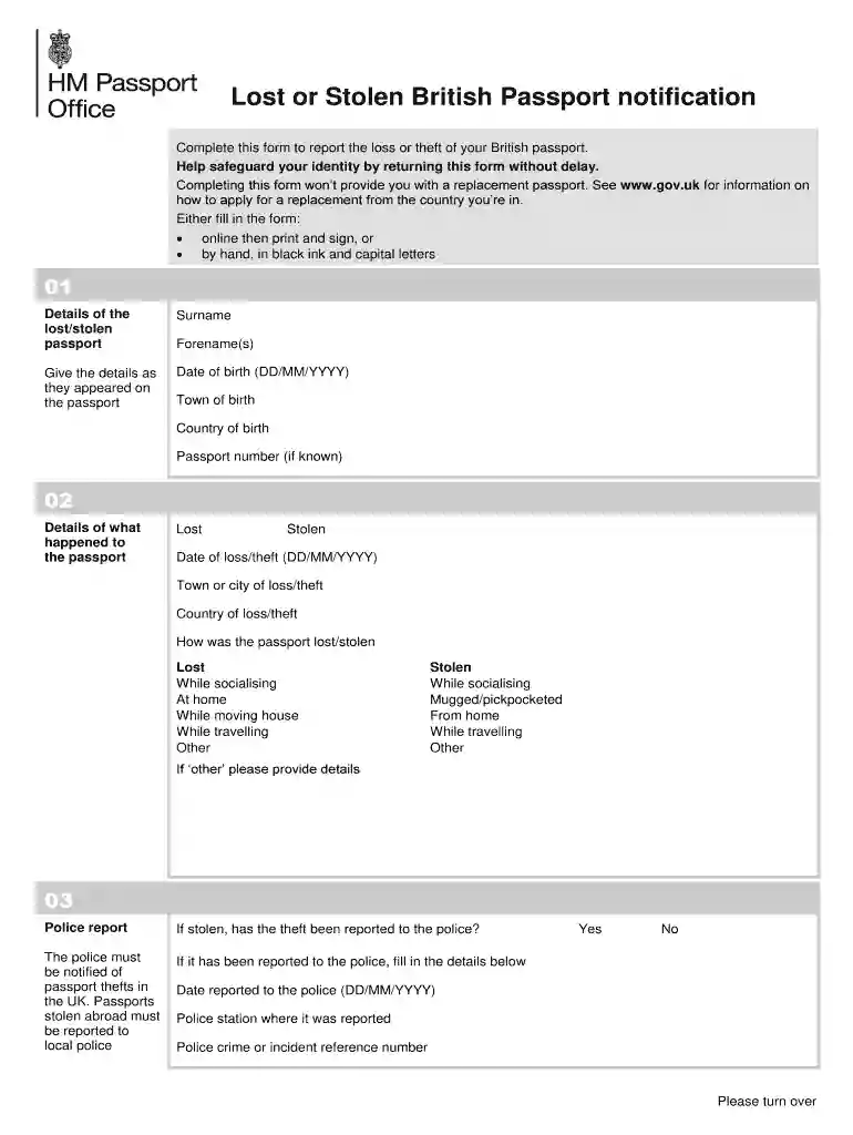 ls01 form online Preview on Page 1