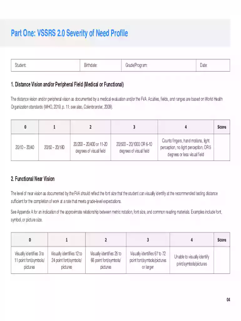 The Michigan Vision Services Severity Rating Scale - MDE-LIO Preview on Page 1