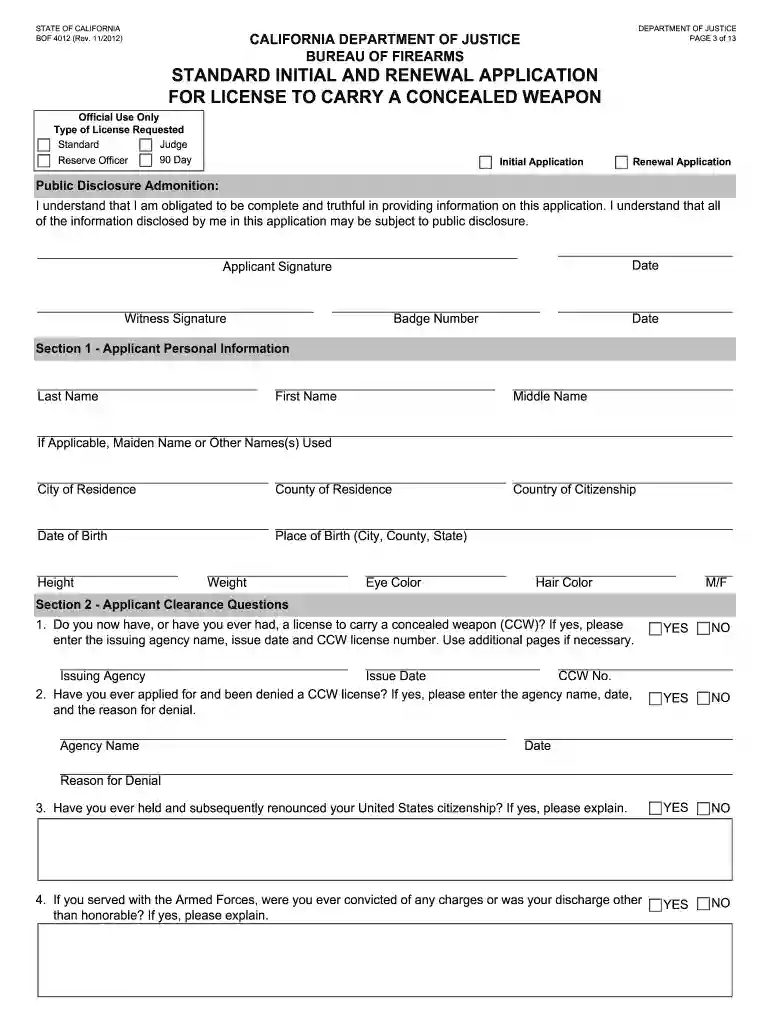 concealed carry form Preview on Page 1