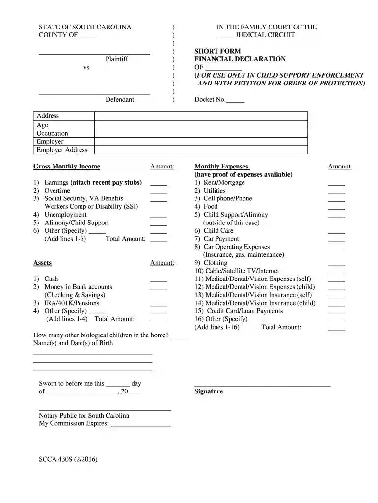 south carolina financial declaration Preview on Page 1
