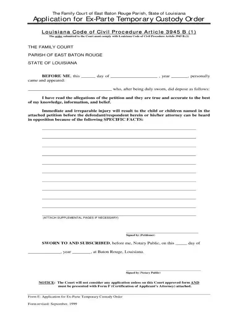 ex parte custody form 1999 Preview on Page 1