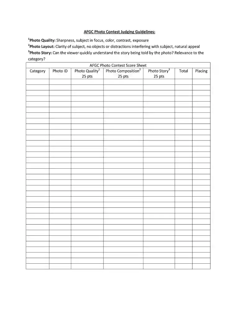 score sheet for art competition Preview on Page 1