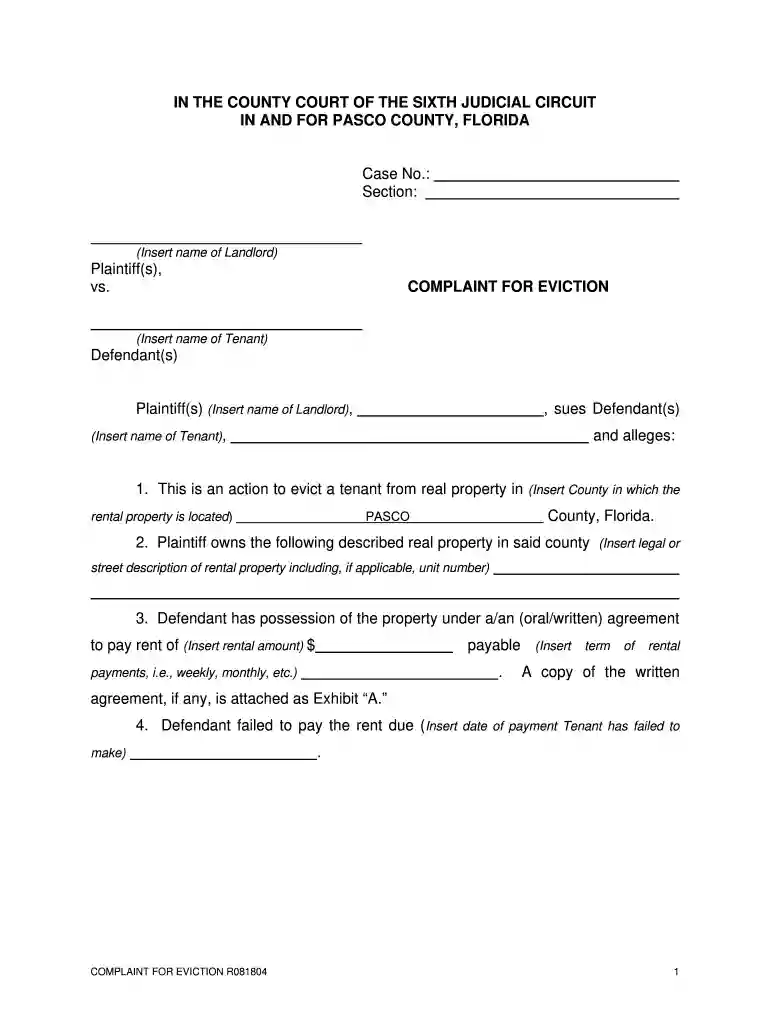 pasco county clerk court Preview on Page 1