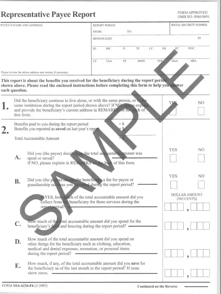 representative payee report form Preview on Page 1