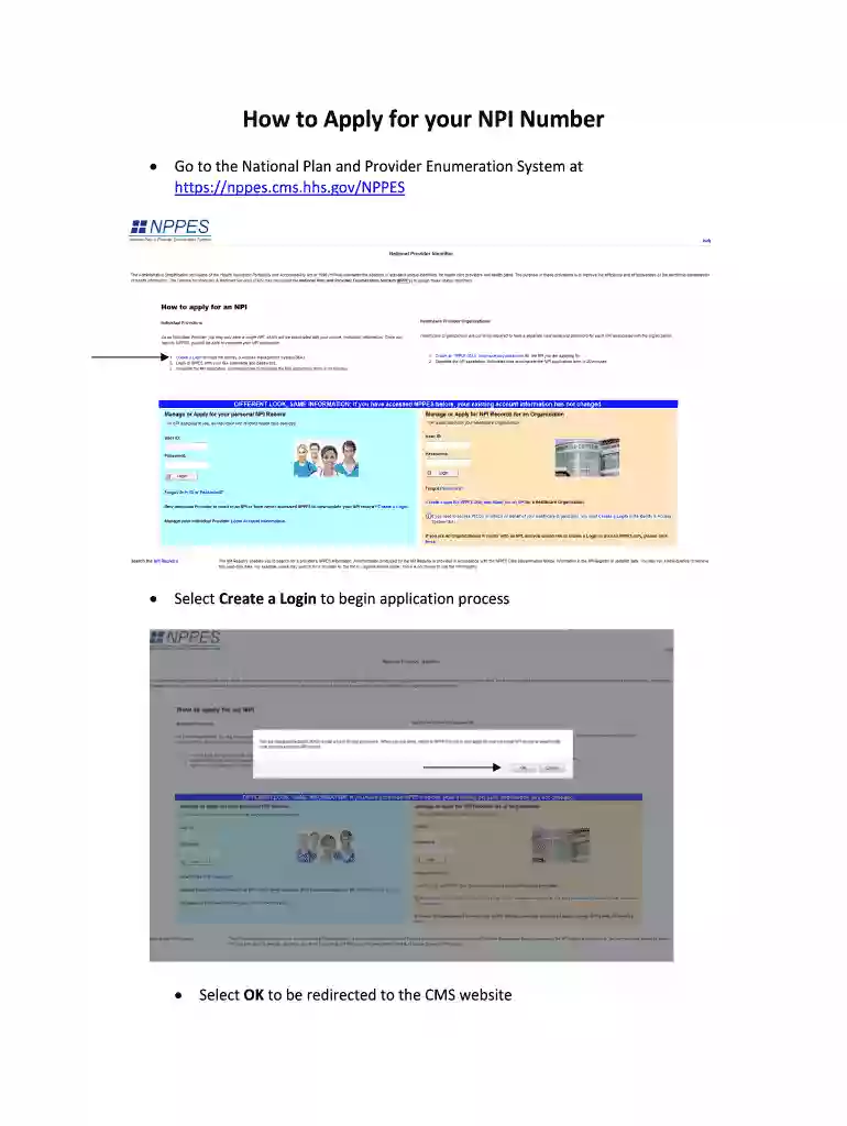 npi instructions Preview on Page 1