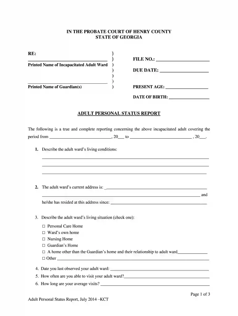 probate court personal status report Preview on Page 1