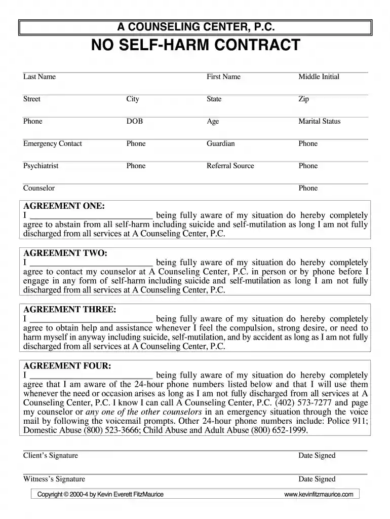 safety contract example Preview on Page 1