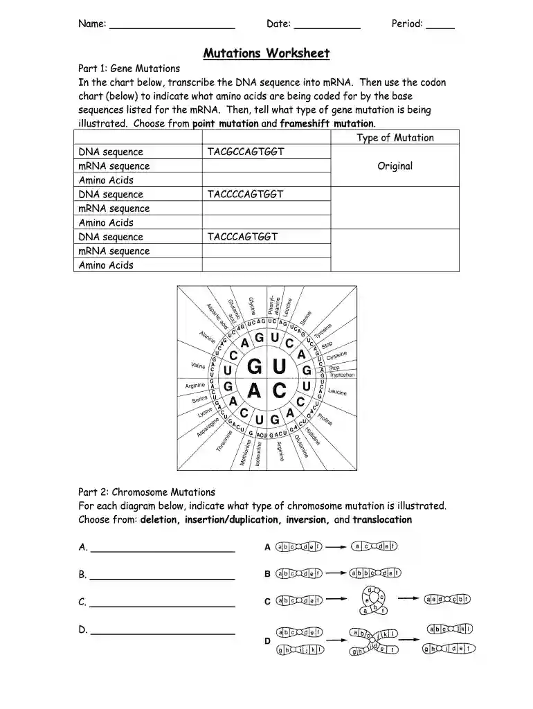 mutations worksheet answer key Preview on Page 1