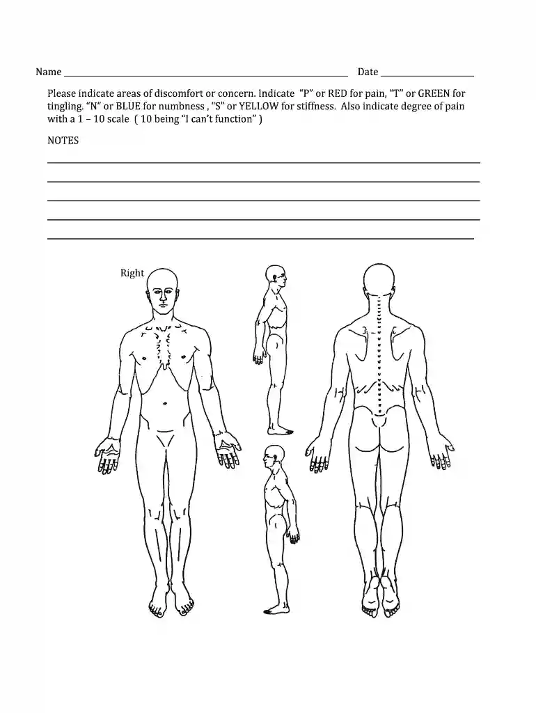 Body form pain chart - Mary Jo Smiley CMTPT Preview on Page 1