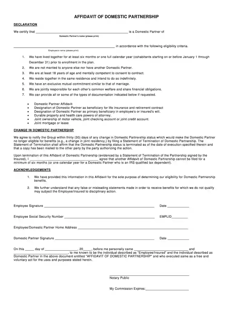 Affidavit domestic partner - bcontentmbbmkt2527bbcomb Preview on Page 1