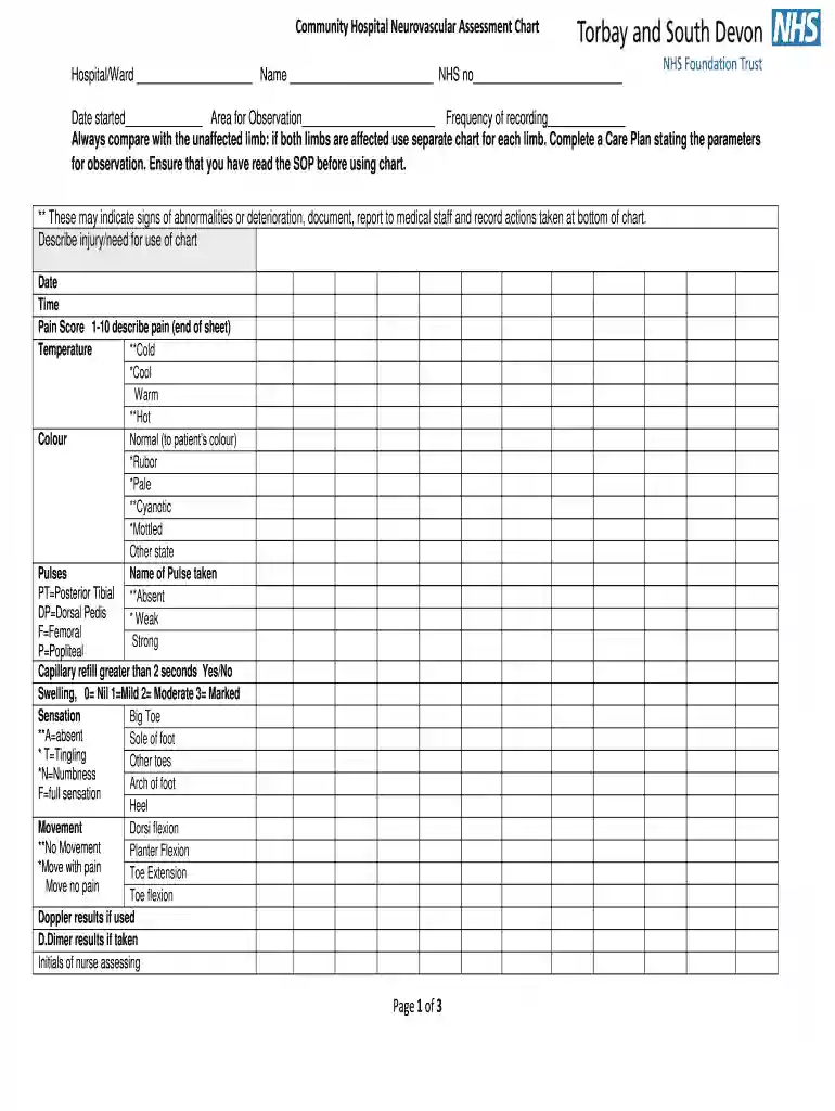 neurovascular assessment chart Preview on Page 1