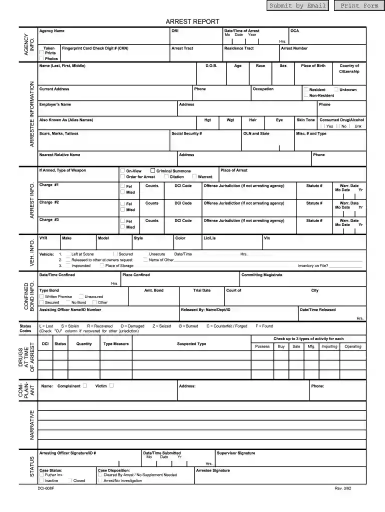 jail release papers pdf Preview on Page 1