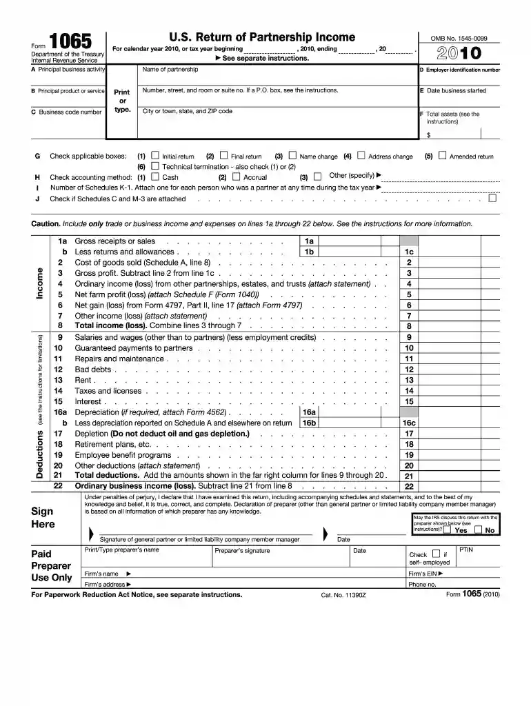 2010 1065 form Preview on Page 1