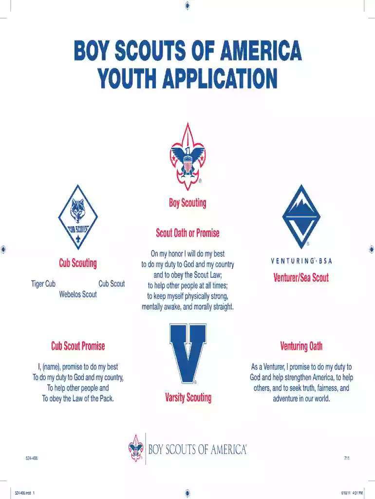 bsa youth application Preview on Page 1