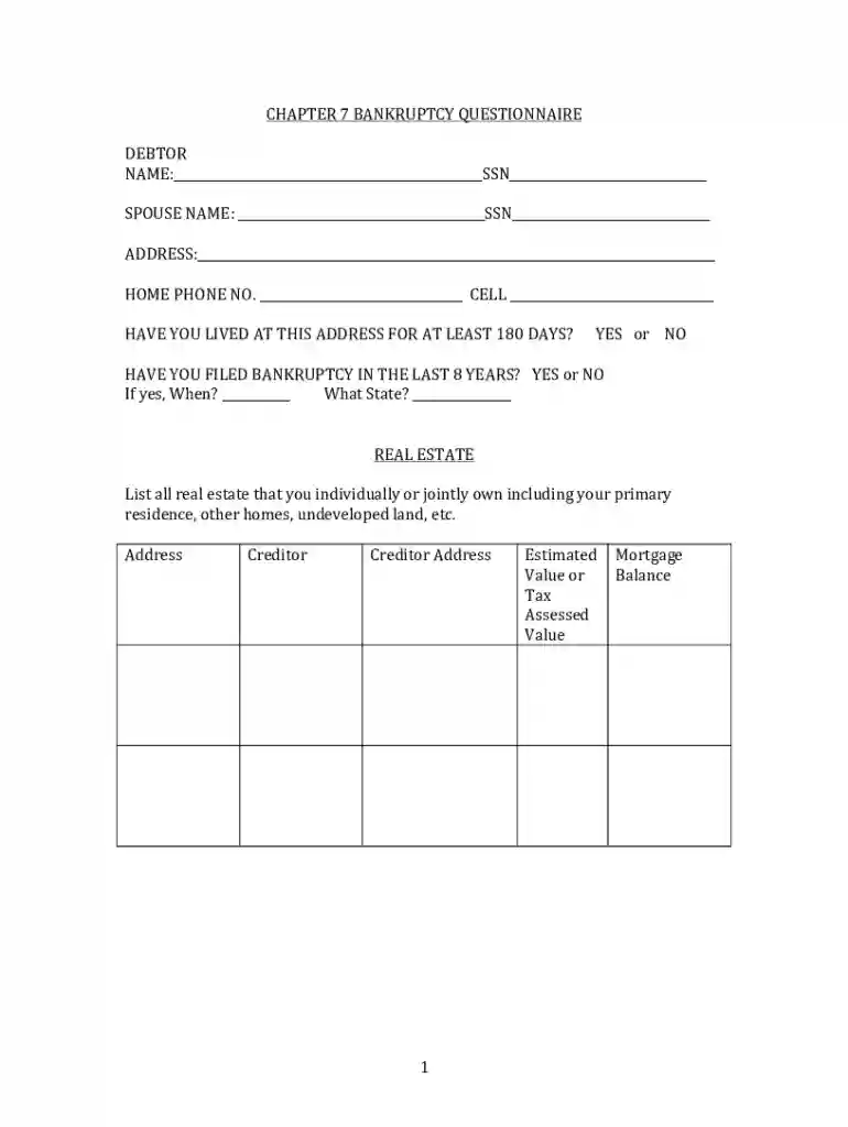 bankruptcy questionnaire Preview on Page 1