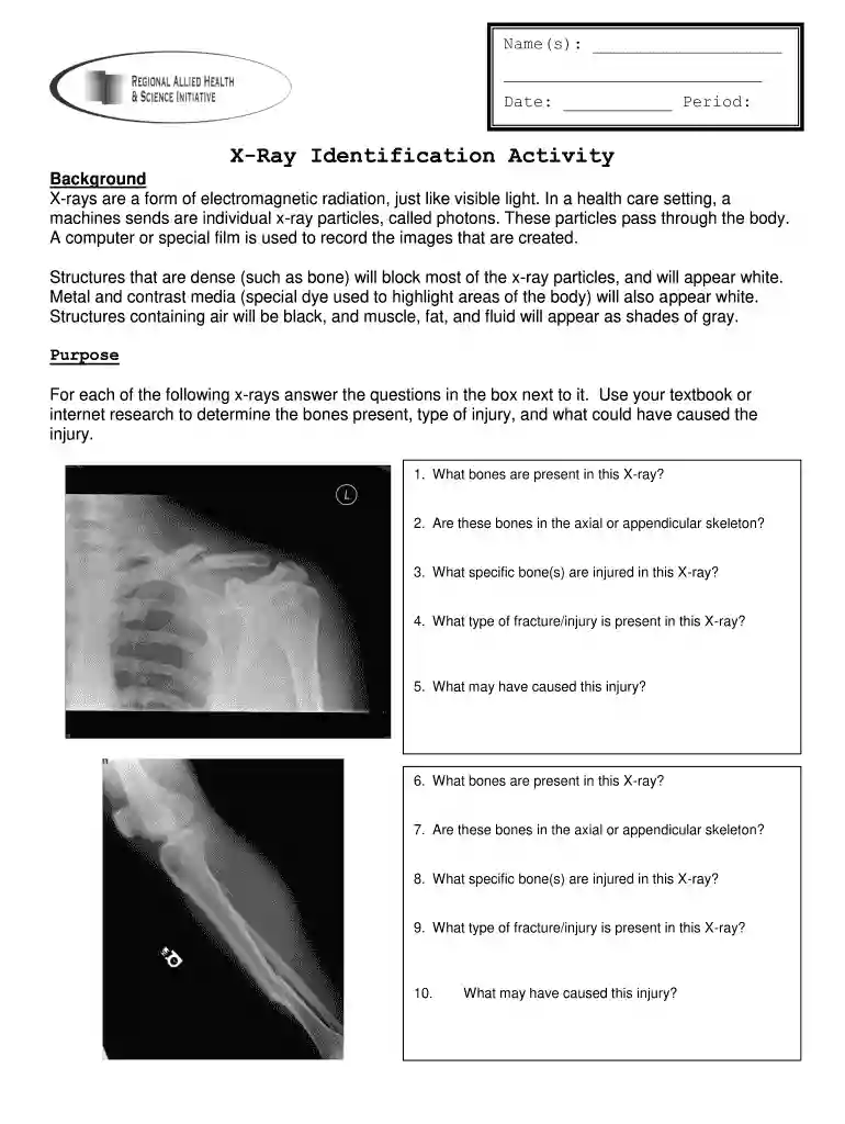 x ray identification activity answer key Preview on Page 1