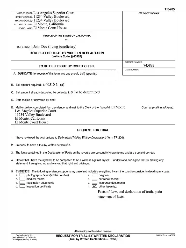 written declaration example Preview on Page 1
