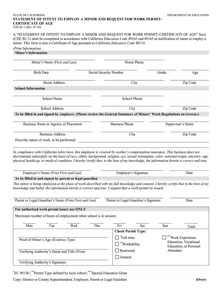 b1 1 form Preview on Page 1