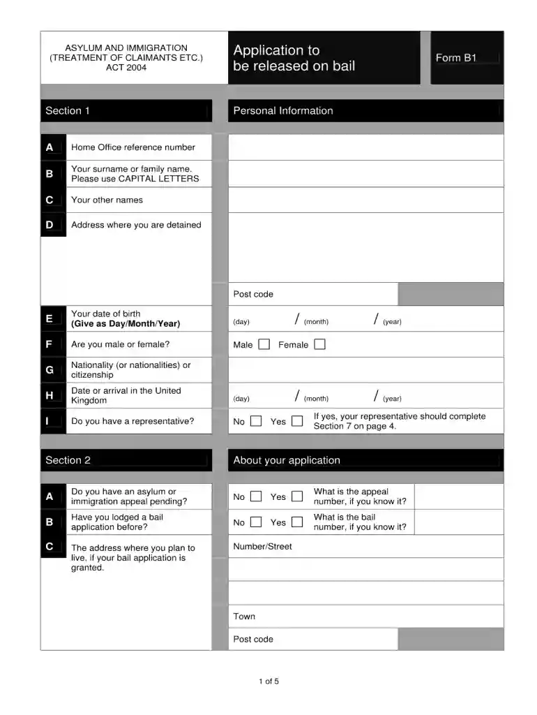 b1 bail form Preview on Page 1