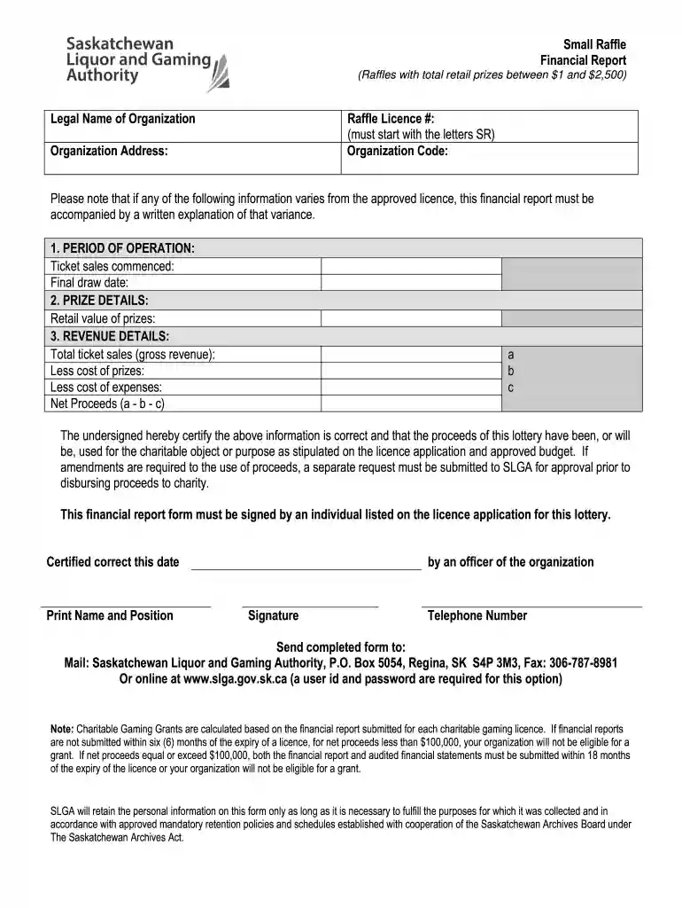 small raffle financial report Preview on Page 1