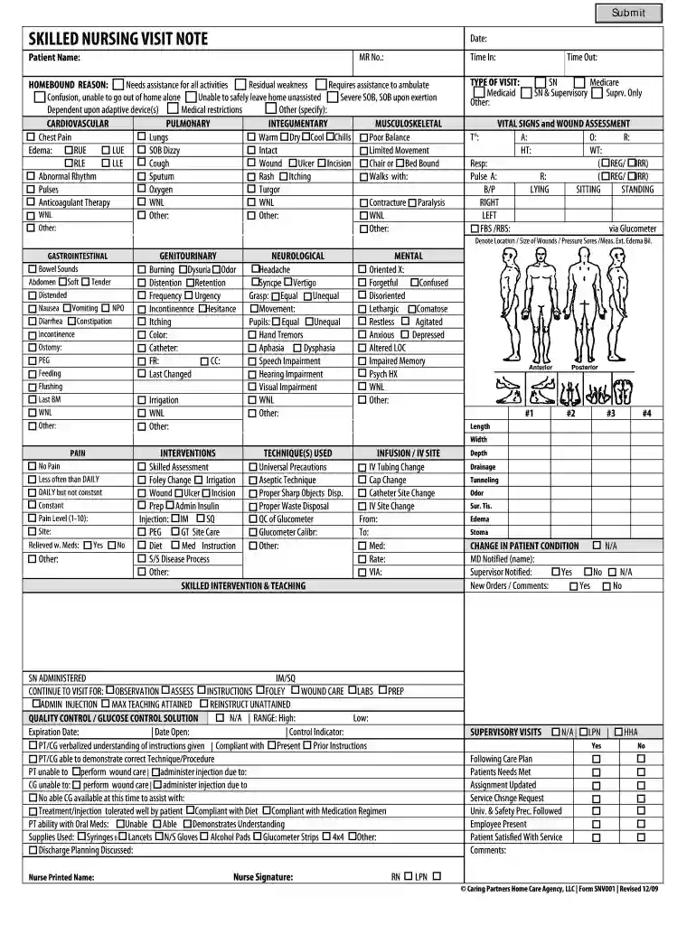 home health skilled nursing visit note examples Preview on Page 1