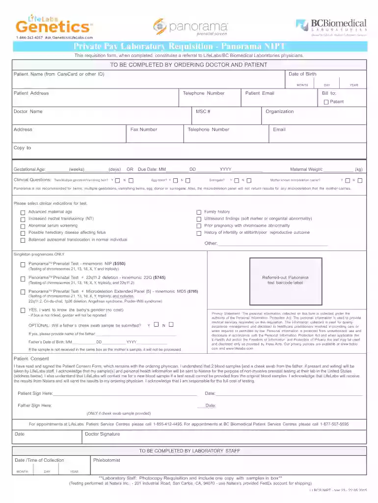 nipt test results example Preview on Page 1