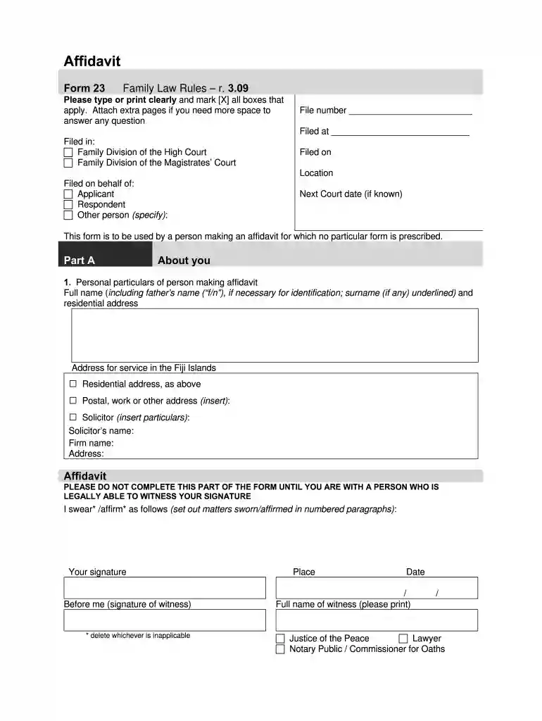 child custody form fiji Preview on Page 1