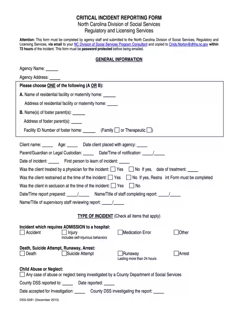 dss critical incident reporting Preview on Page 1