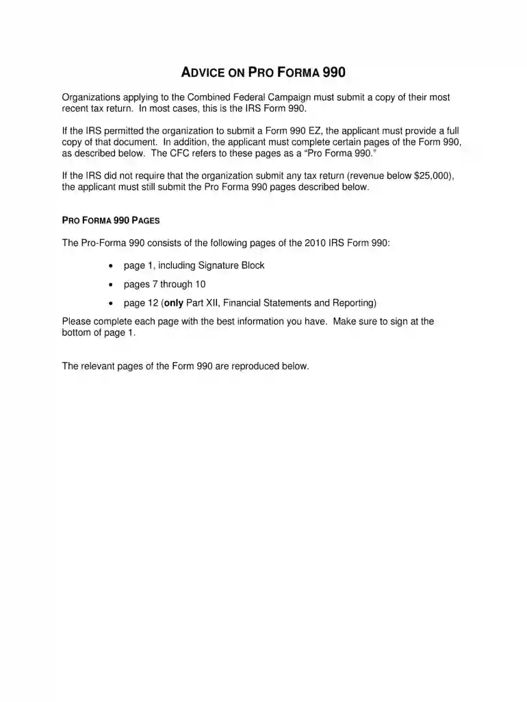 2010 990 form Preview on Page 1