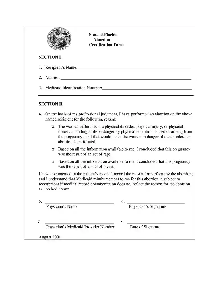 proof of abortion paperwork Preview on Page 1