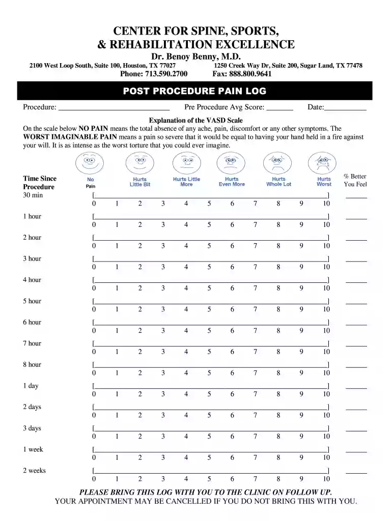 CSSARE - Pain Log Preview on Page 1